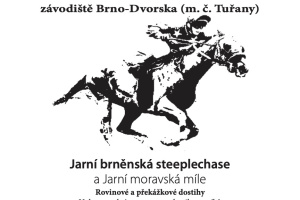 Dostihy Dvorska 25.4.2026